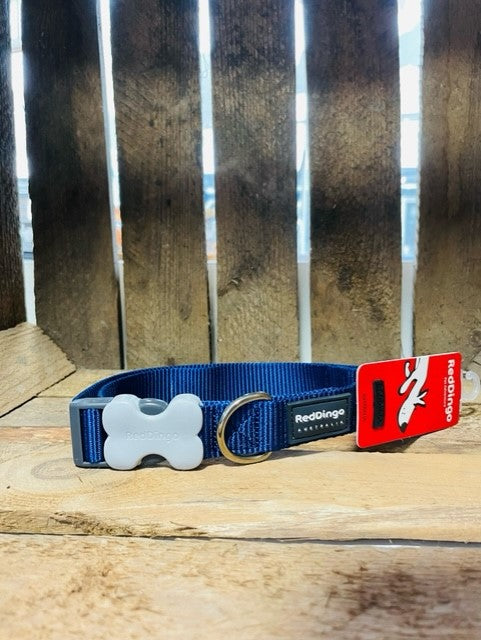 Red Dingo Blue Collar