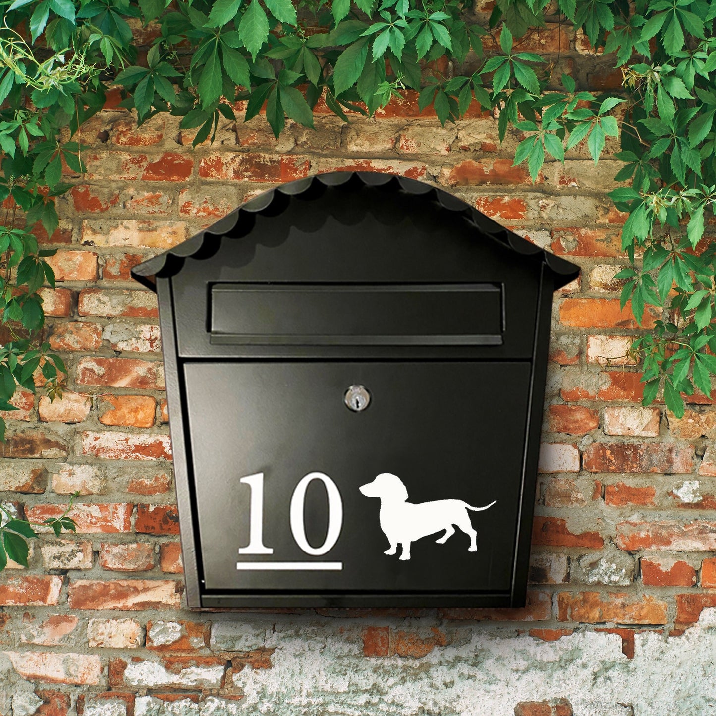 Dachshund Dog Vinyl Decal for a Mailbox | Personalised Postbox Transfer Sticker