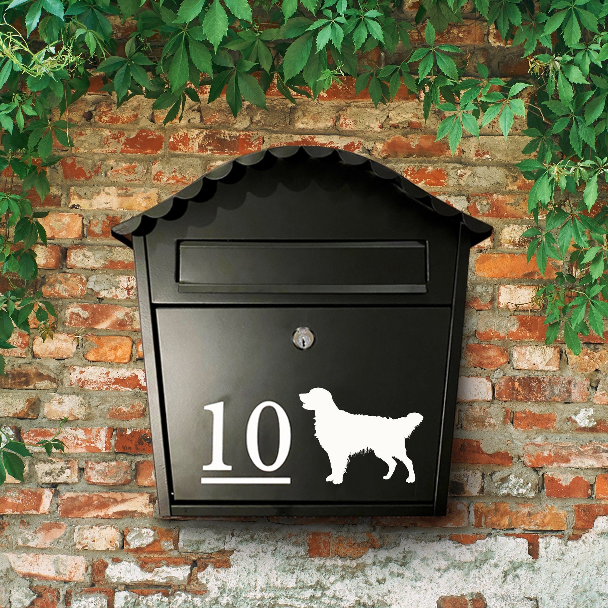 Golden Retriever Dog Vinyl Decal for a Mailbox | Personalised Postbox Transfer