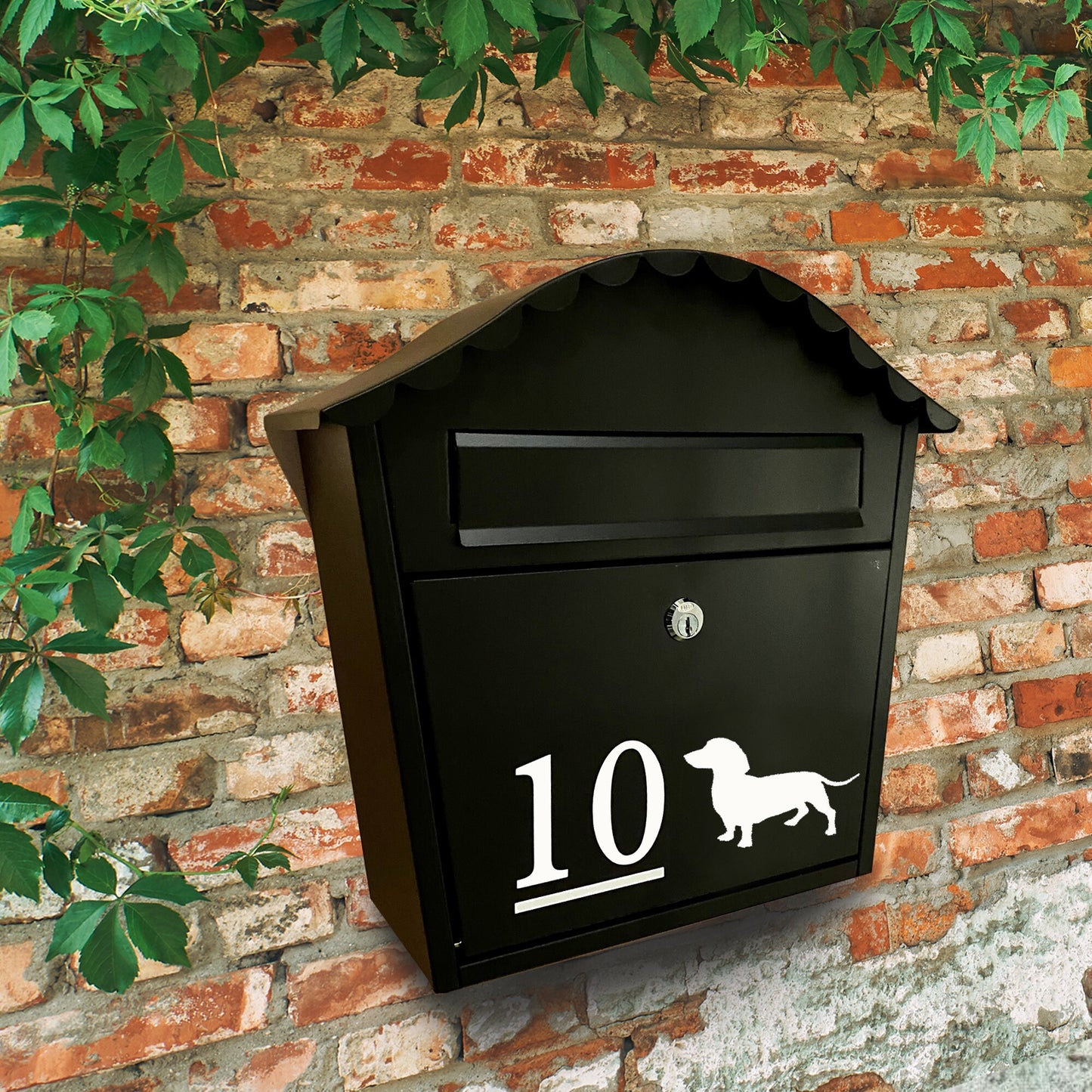 Dachshund Dog Vinyl Decal for a Mailbox | Personalised Postbox Transfer Sticker