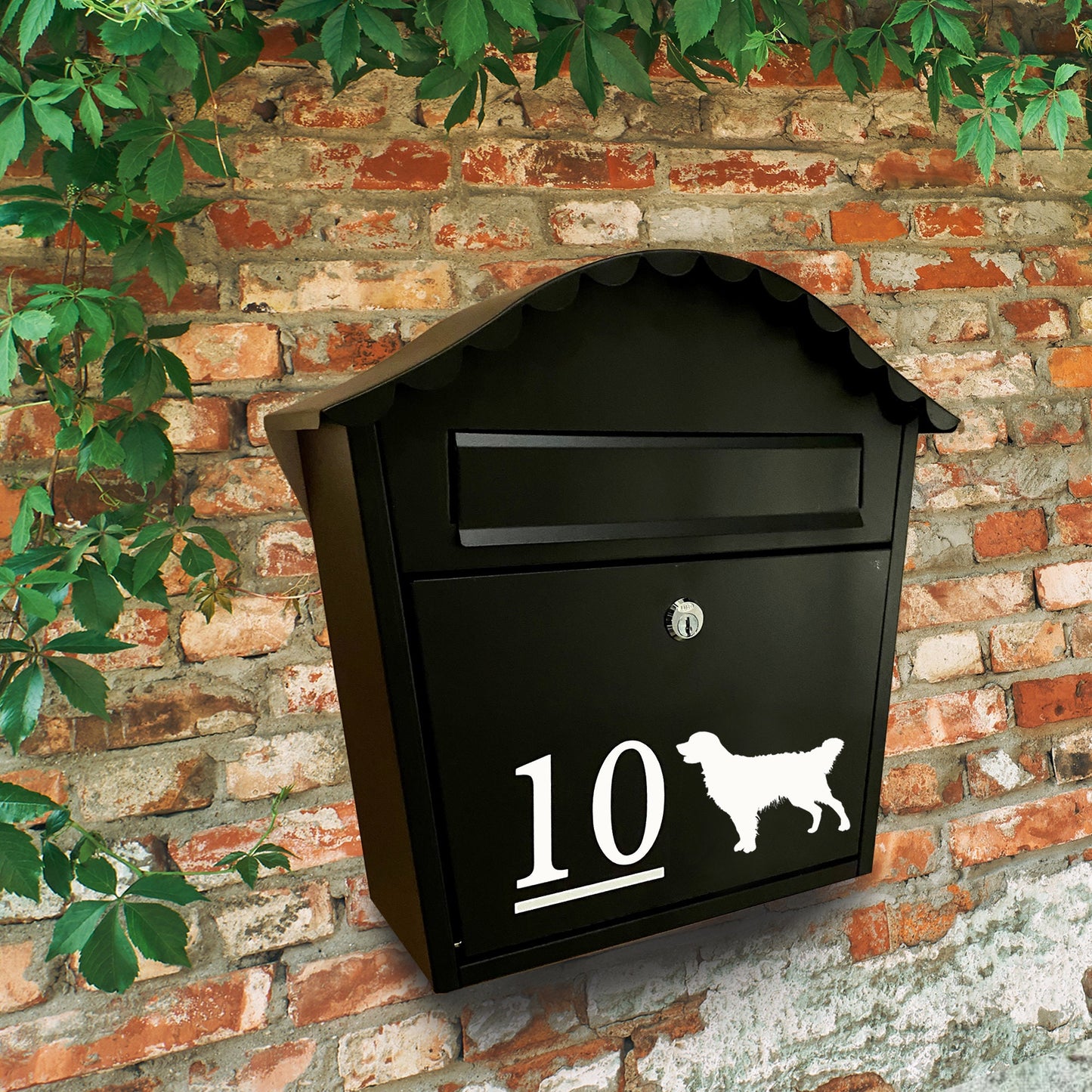 Golden Retriever Dog Vinyl Decal for a Mailbox | Personalised Postbox Transfer