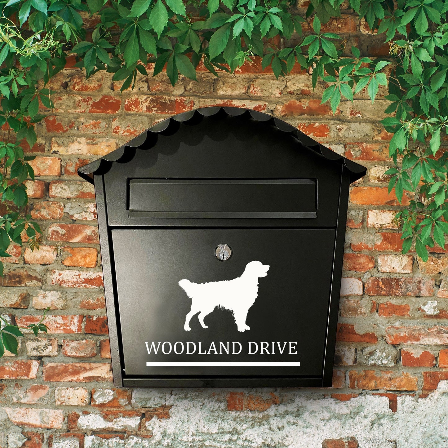 Golden Retriever Dog Vinyl Decal for a Mailbox | Personalised Postbox Transfer