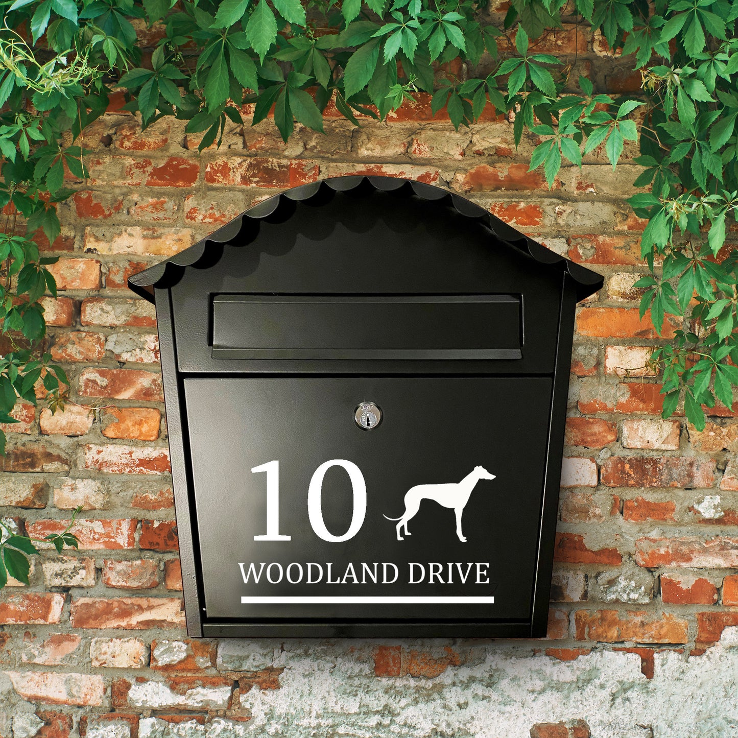 Greyhound or Whippet Dog Vinyl Decal for a Mailbox | Personalised Postbox Transfer
