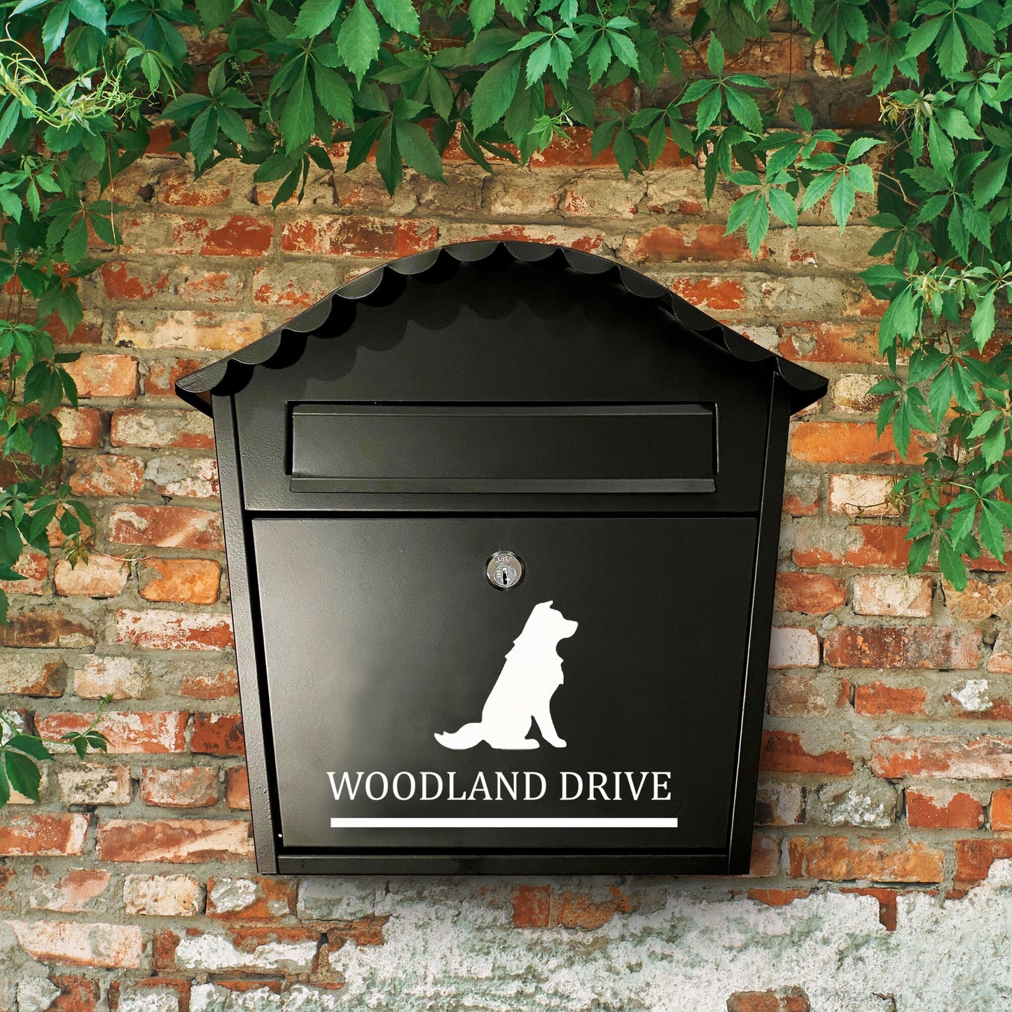Border Collie Dog Vinyl Decal for a Mailbox | Personalised Postbox Transfer