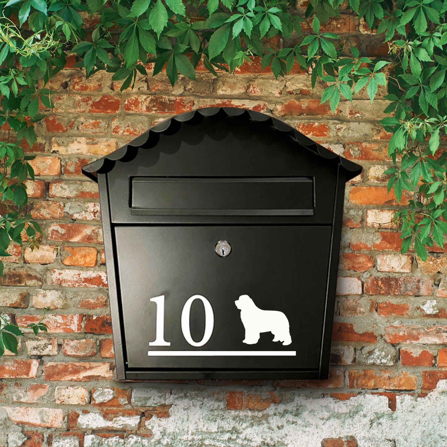 Newfoundland Dog Vinyl Decal for a Mailbox | Personalised Postbox Transfer