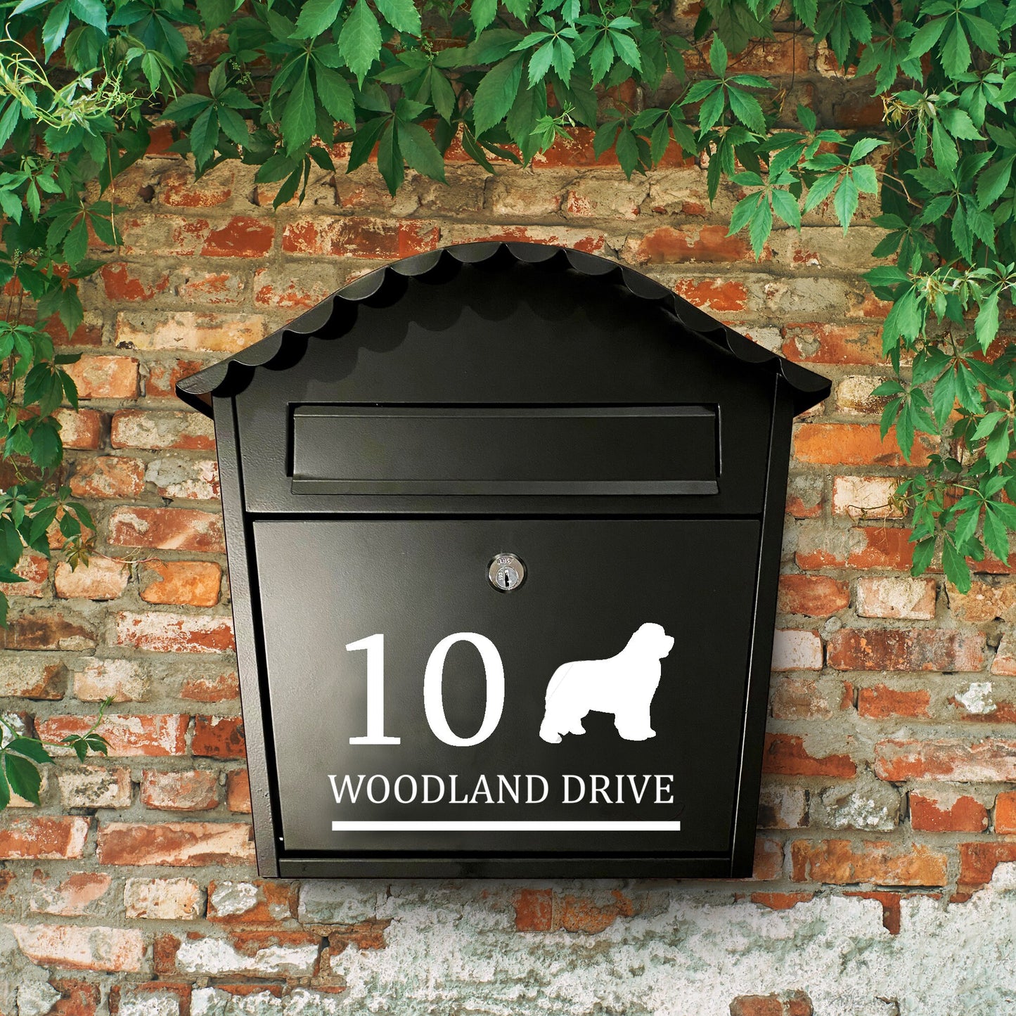 Newfoundland Dog Vinyl Decal for a Mailbox | Personalised Postbox Transfer