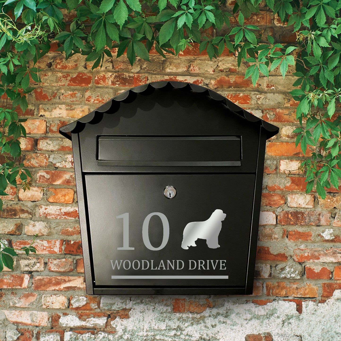Newfoundland Dog Vinyl Decal for a Mailbox | Personalised Postbox Transfer