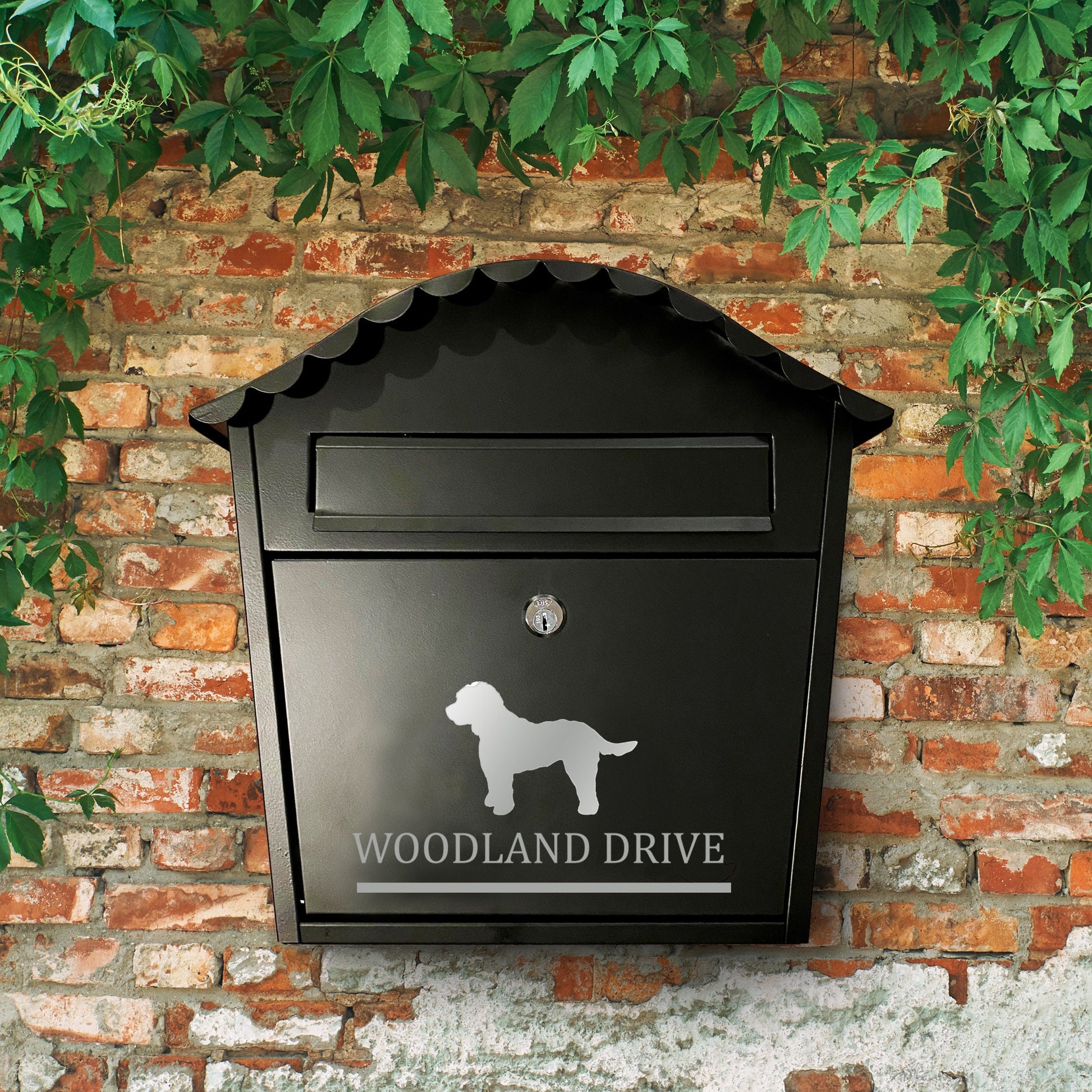 Cockapoo Dog Personalised Vinyl Decal for a Mailbox | Postbox | Letterbox