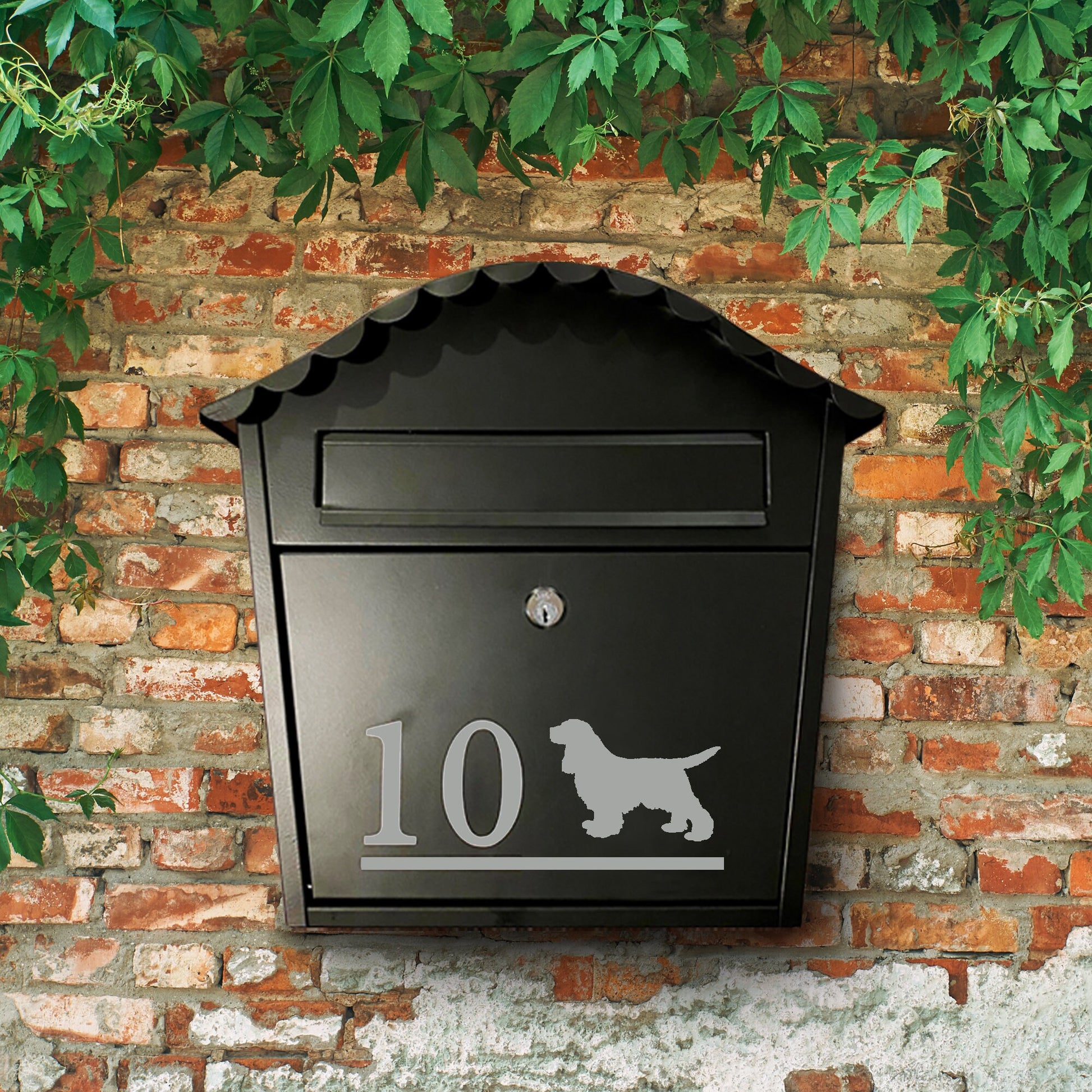 Cocker Spaniel Dog Vinyl Decal for a Mailbox | Personalised Postbox Transfer