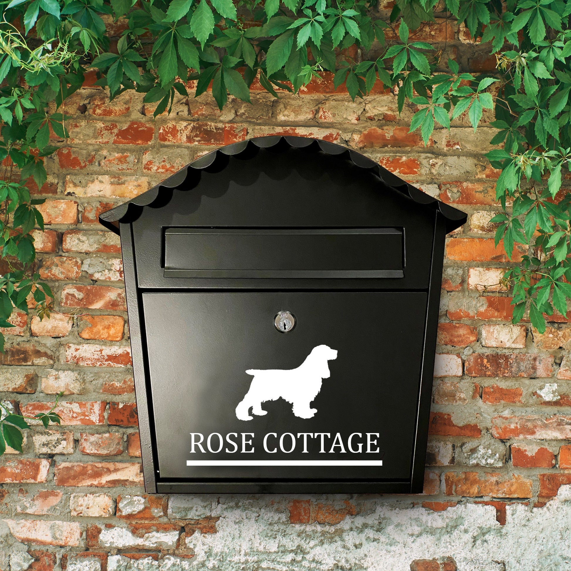 Cocker Spaniel Dog Vinyl Decal for a Mailbox | Personalised Postbox Transfer