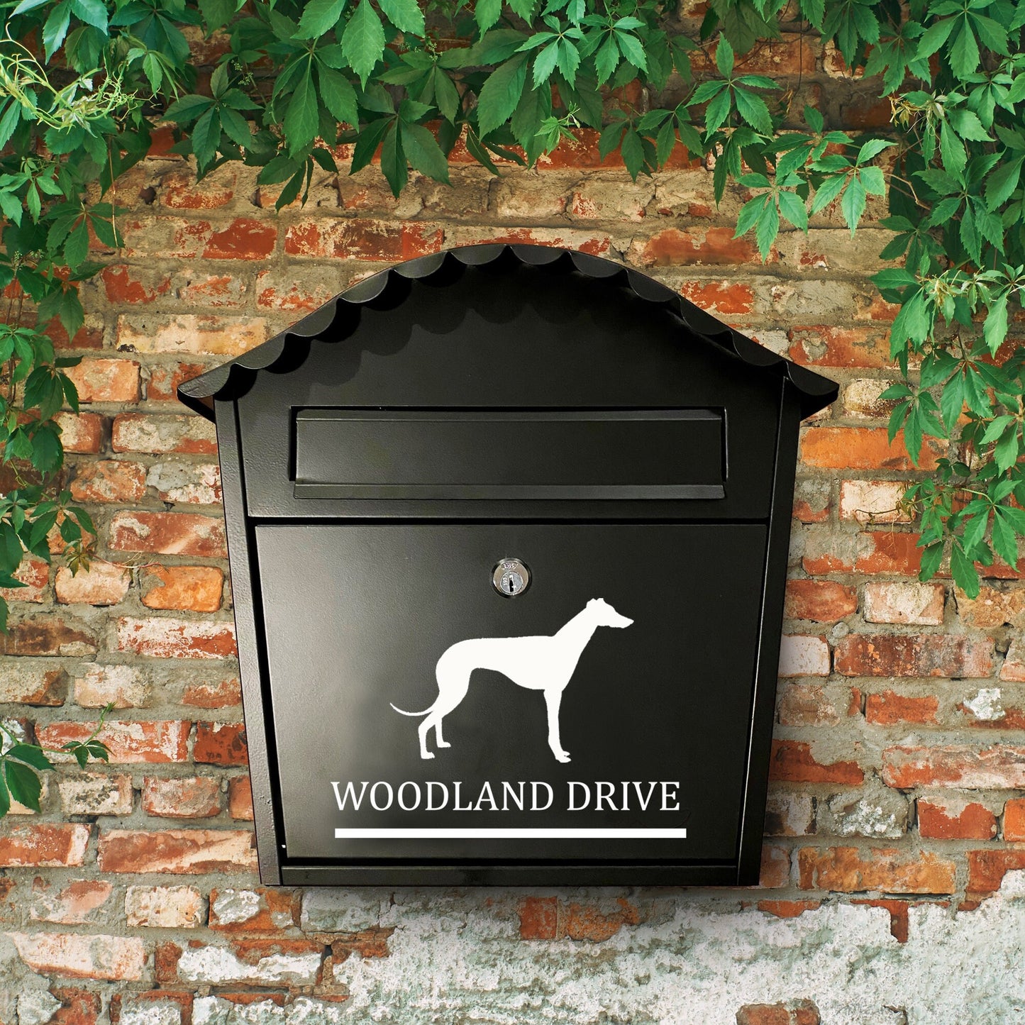 Greyhound or Whippet Dog Vinyl Decal for a Mailbox | Personalised Postbox Transfer