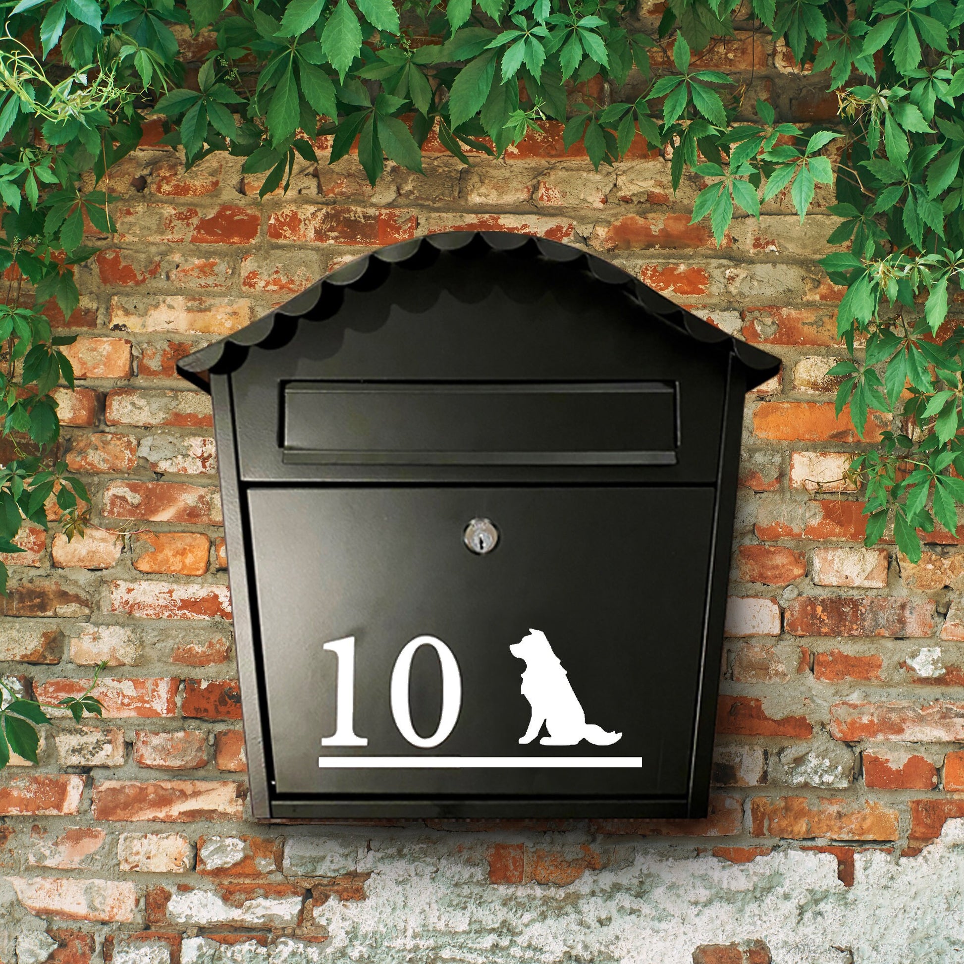 Border Collie Dog Vinyl Decal for a Mailbox | Personalised Postbox Transfer