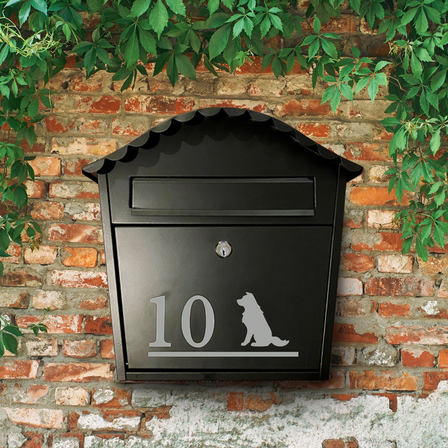 Border Collie Dog Vinyl Decal for a Mailbox | Personalised Postbox Transfer