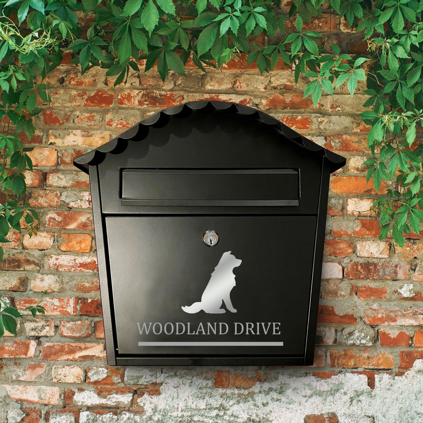 Border Collie Dog Vinyl Decal for a Mailbox | Personalised Postbox Transfer