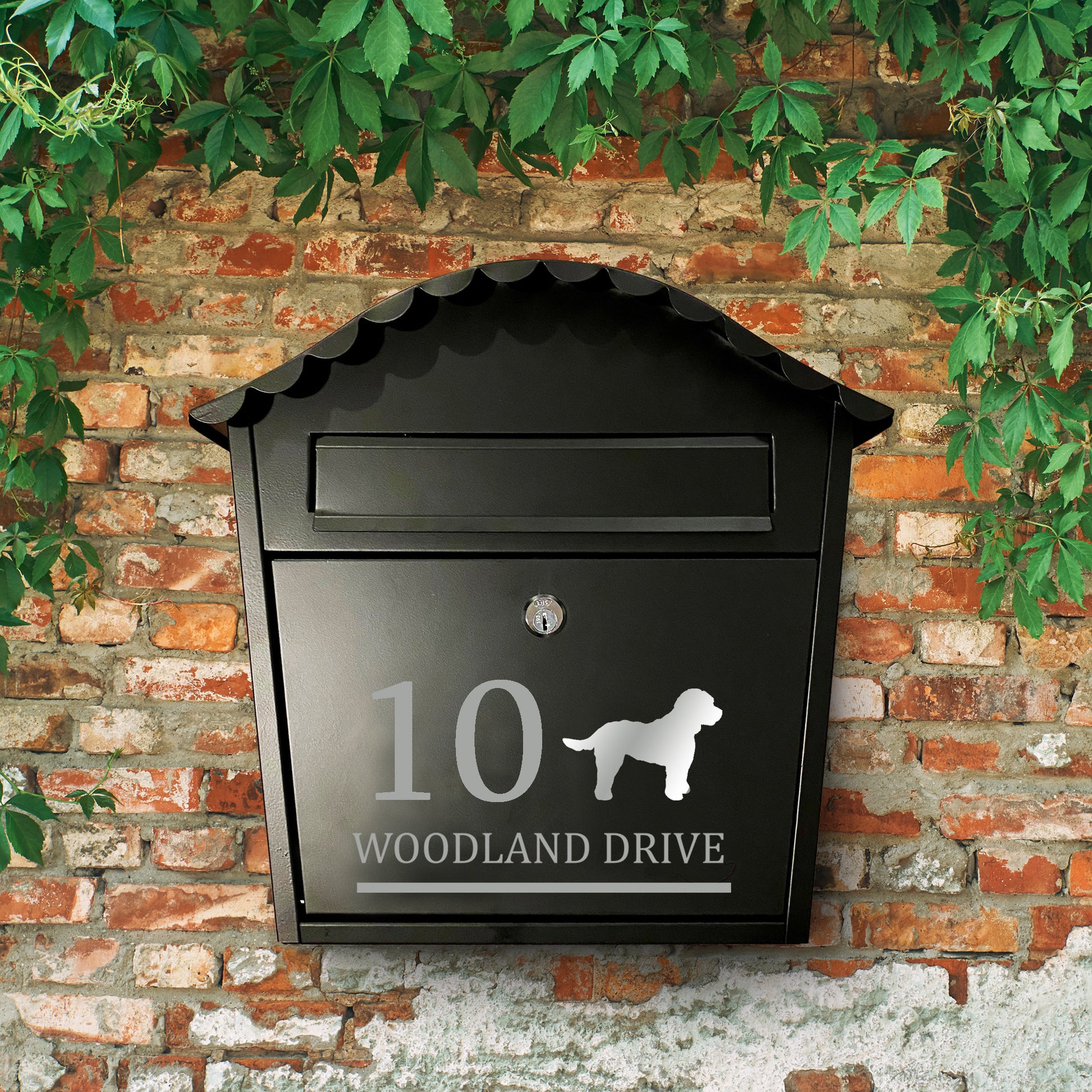 Cockapoo Dog Personalised Vinyl Decal for a Mailbox | Postbox | Letterbox