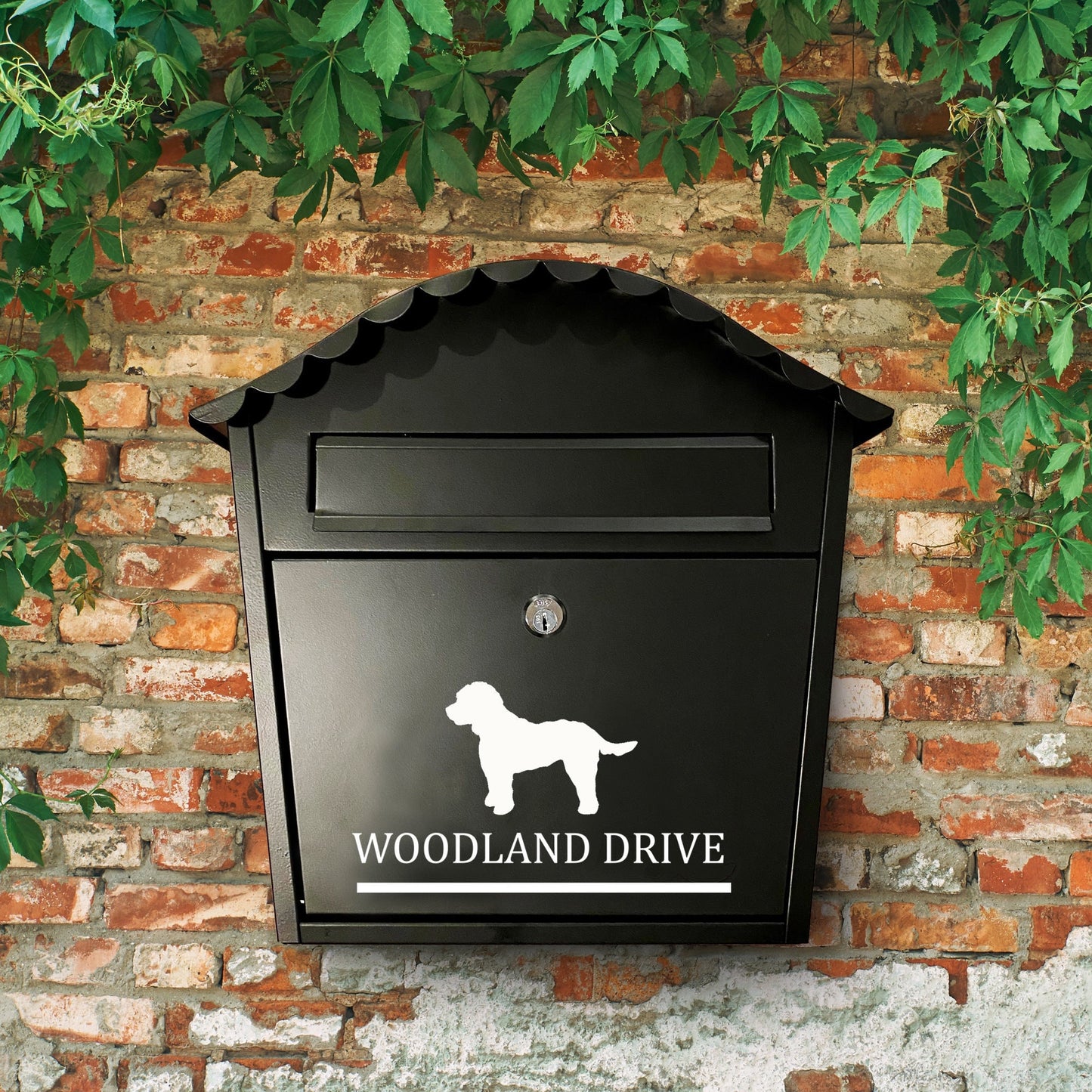 Cockapoo Dog Personalised Vinyl Decal for a Mailbox | Postbox | Letterbox