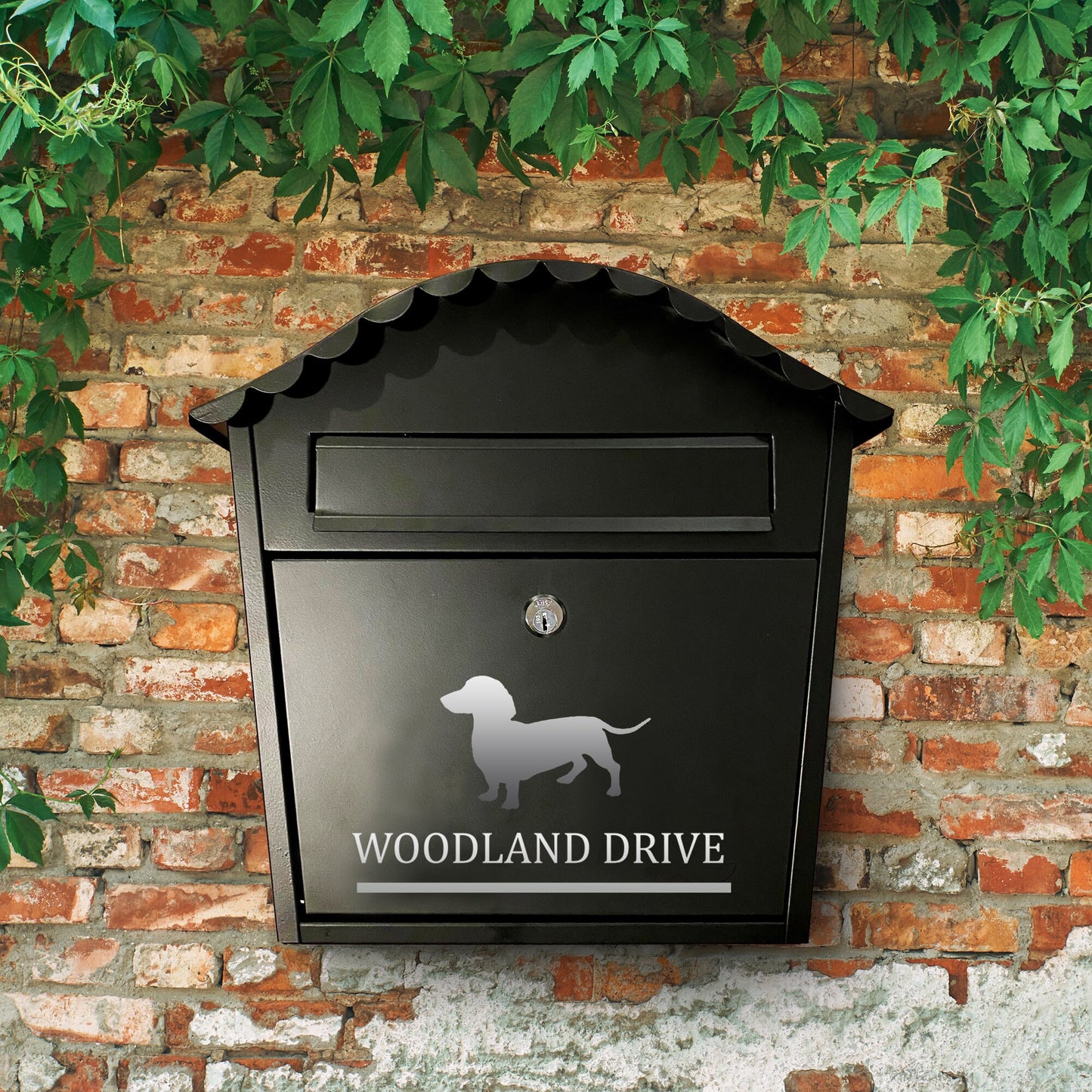 Dachshund Dog Vinyl Decal for a Mailbox | Personalised Postbox Transfer Sticker