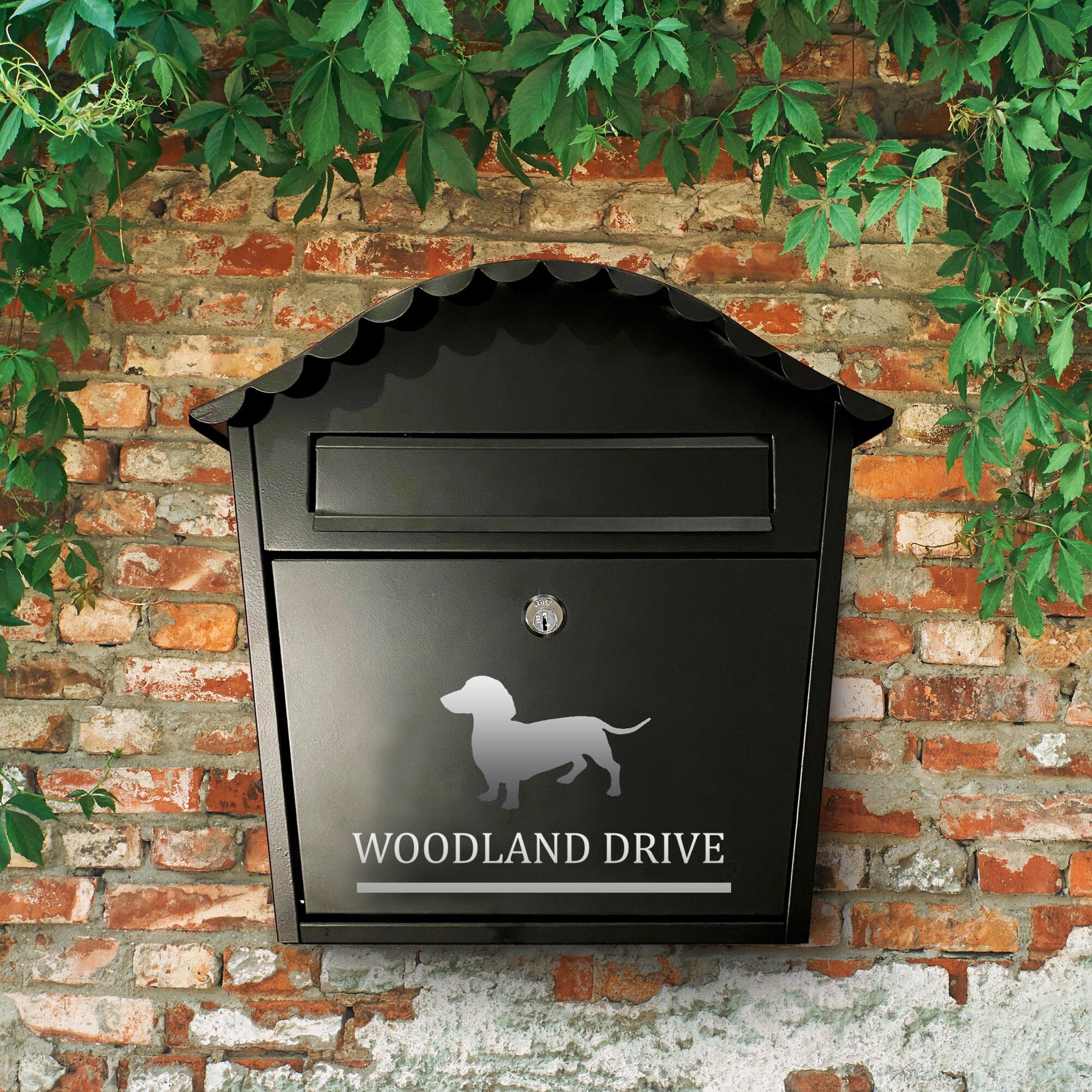 Dachshund Dog Vinyl Decal for a Mailbox | Personalised Postbox Transfer Sticker