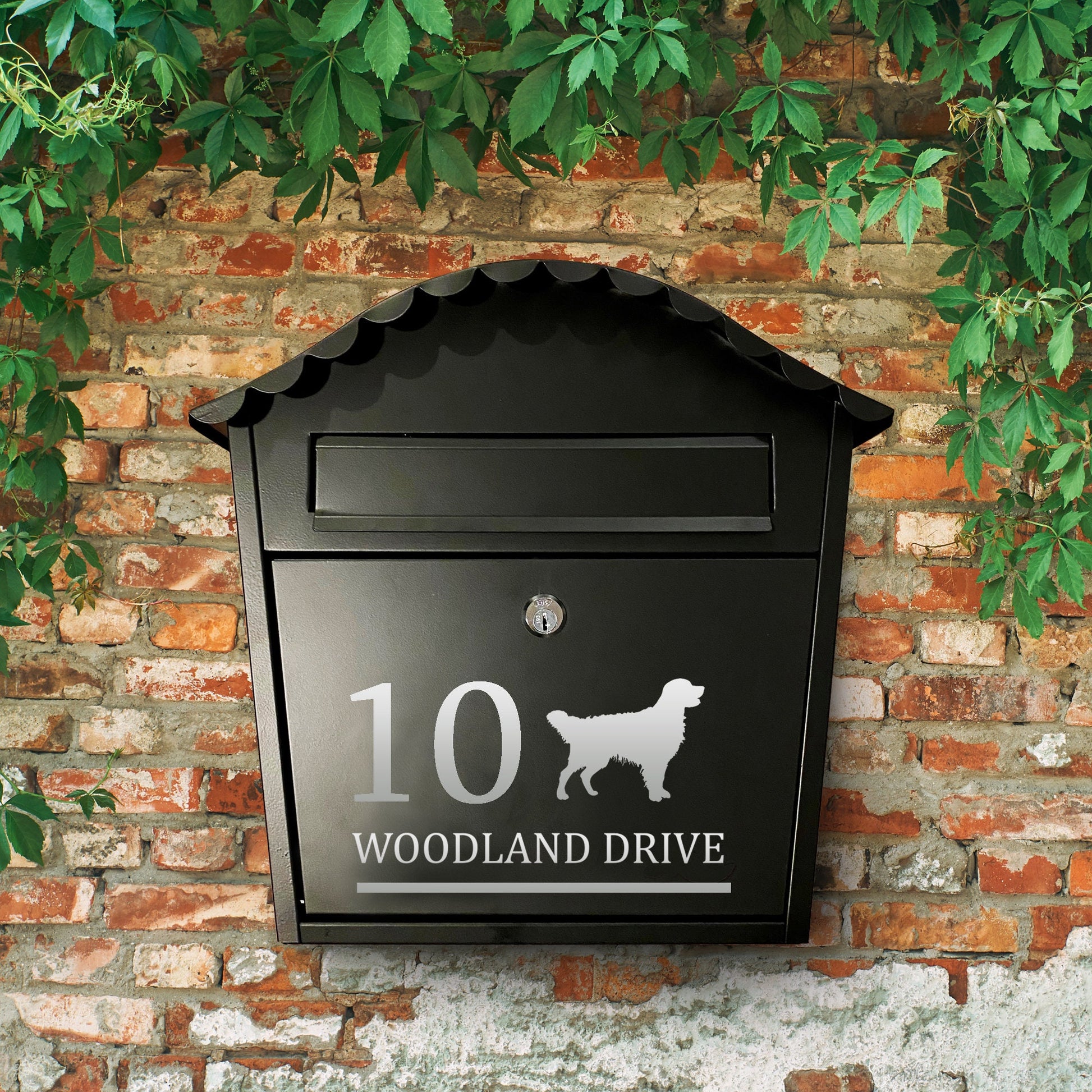 Golden Retriever Dog Vinyl Decal for a Mailbox | Personalised Postbox Transfer