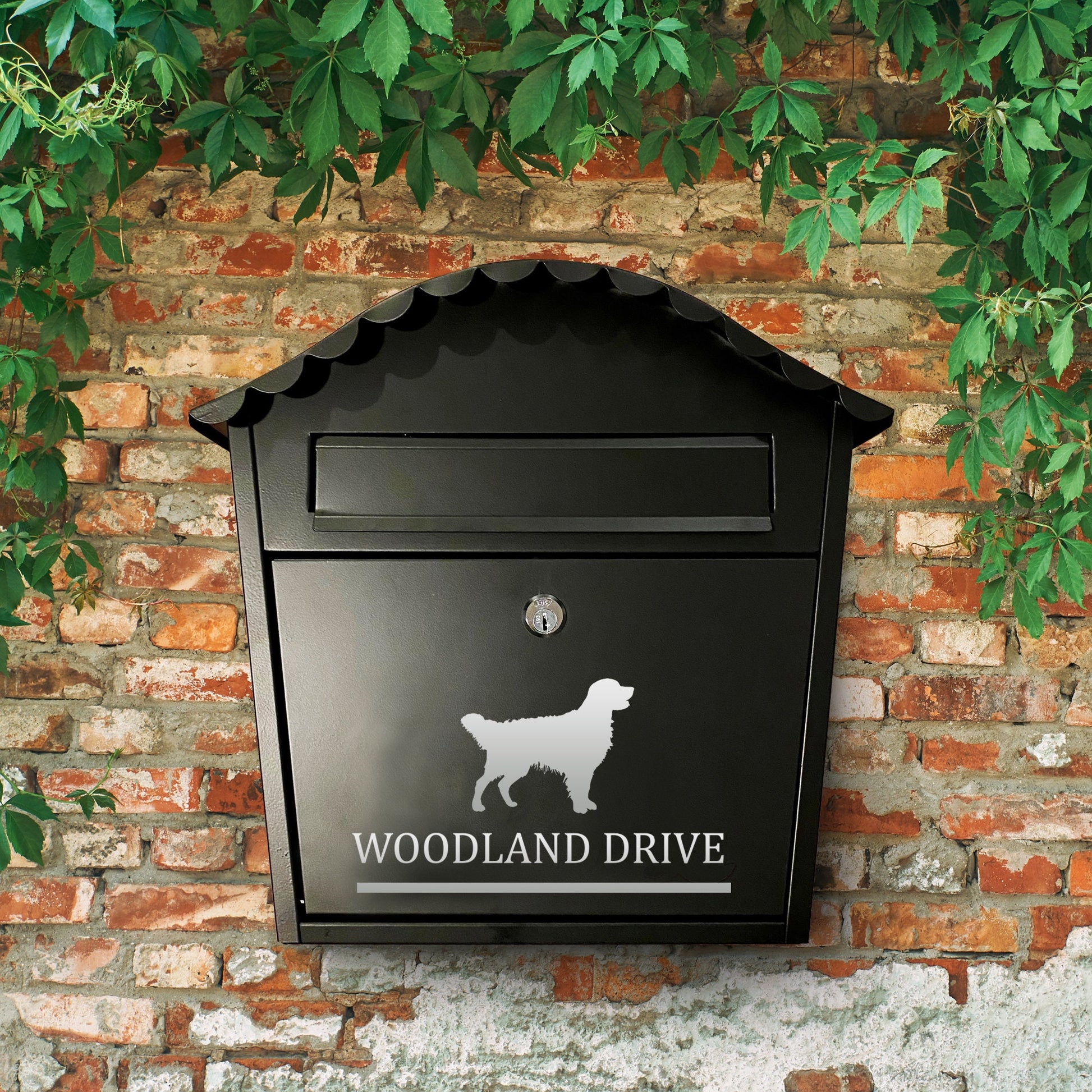Golden Retriever Dog Vinyl Decal for a Mailbox | Personalised Postbox Transfer
