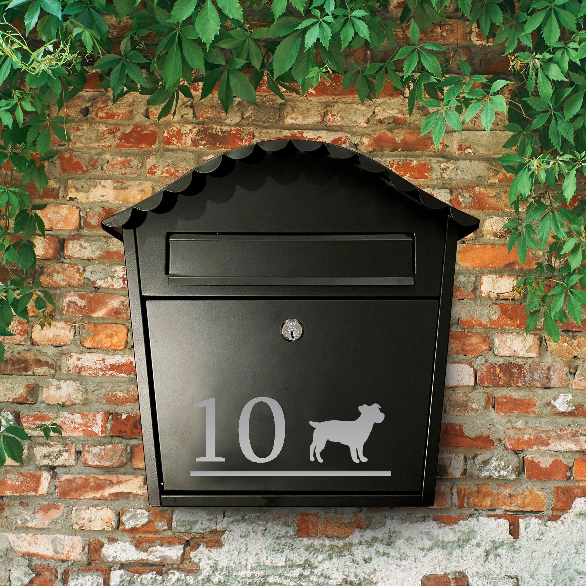 Jack Russell Dog Vinyl Decal for a Mailbox | Personalised Postbox Transfer Sticker