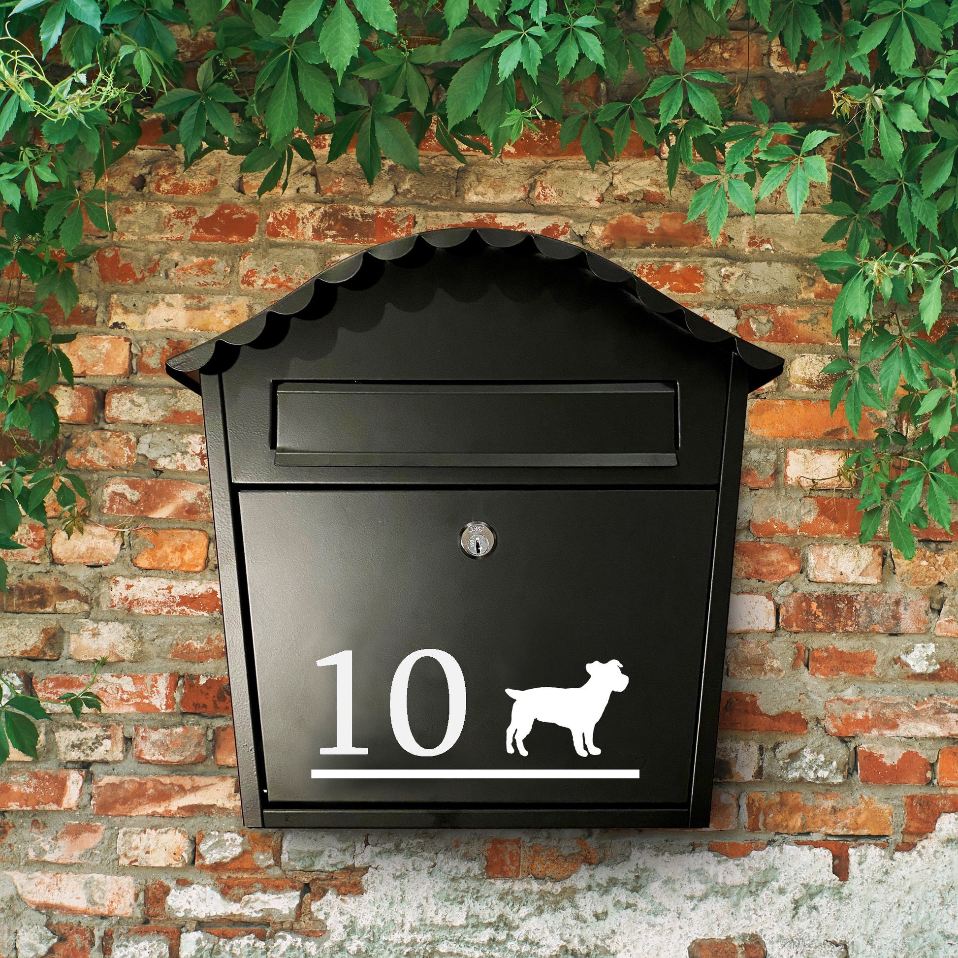 Jack Russell Dog Vinyl Decal for a Mailbox | Personalised Postbox Transfer Sticker