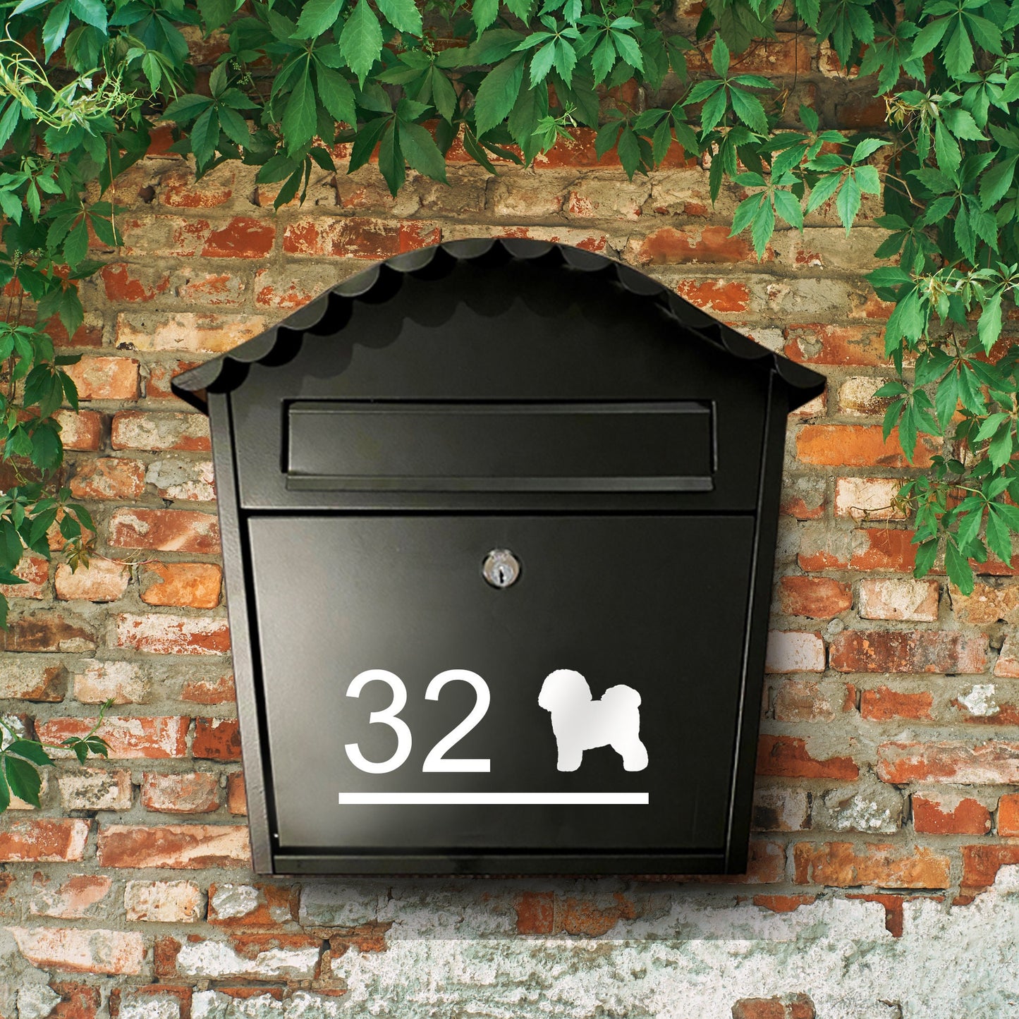 Bichon Frise Dog Vinyl Decal for a Mailbox | Personalised Postbox Transfer