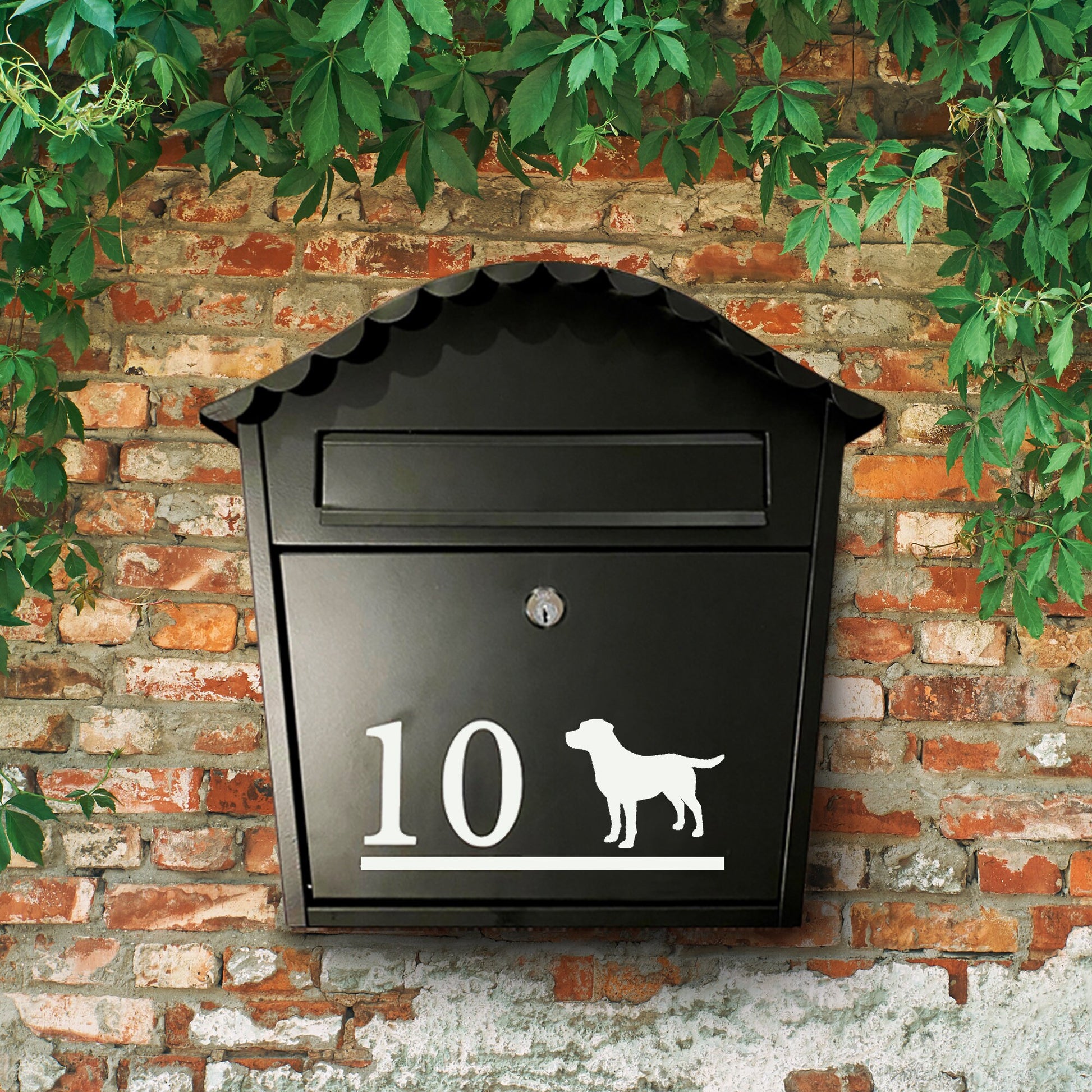 Any Breed Dog Personalised Mailbox Vinyl Decal | Postbox Permanent Outdoor Transfer