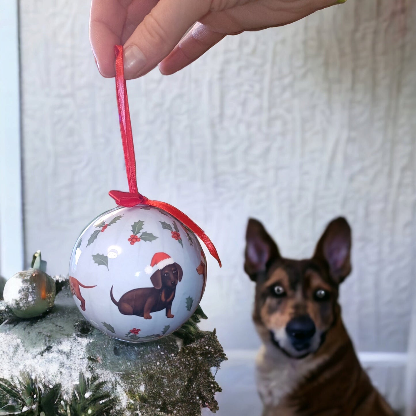 Dachshund Dog Christmas Bauble (optional set of 4)