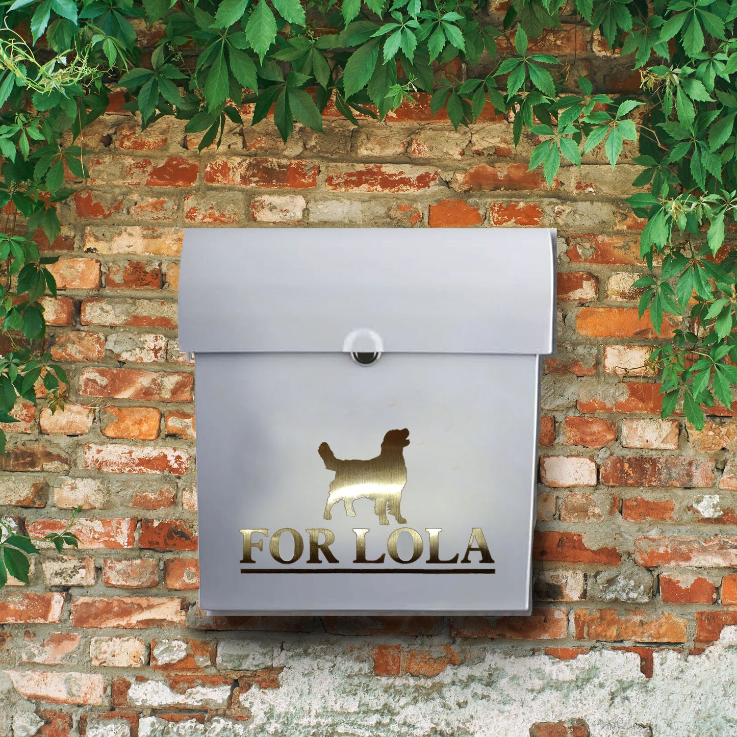 Golden Retriever Dog Vinyl Decal for a Mailbox | Personalised Postbox Transfer