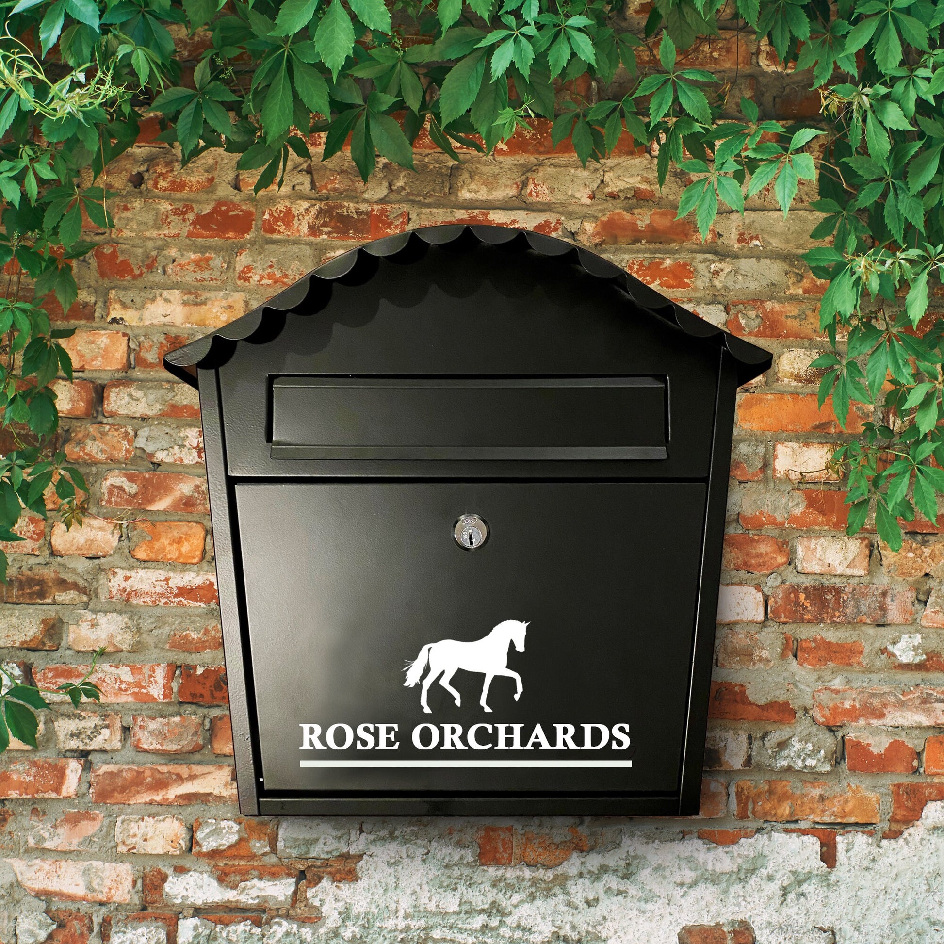 Horse Vinyl Decal | Permanent Transfer for a Mailbox/Postbox, with equine theme | Various Fonts
