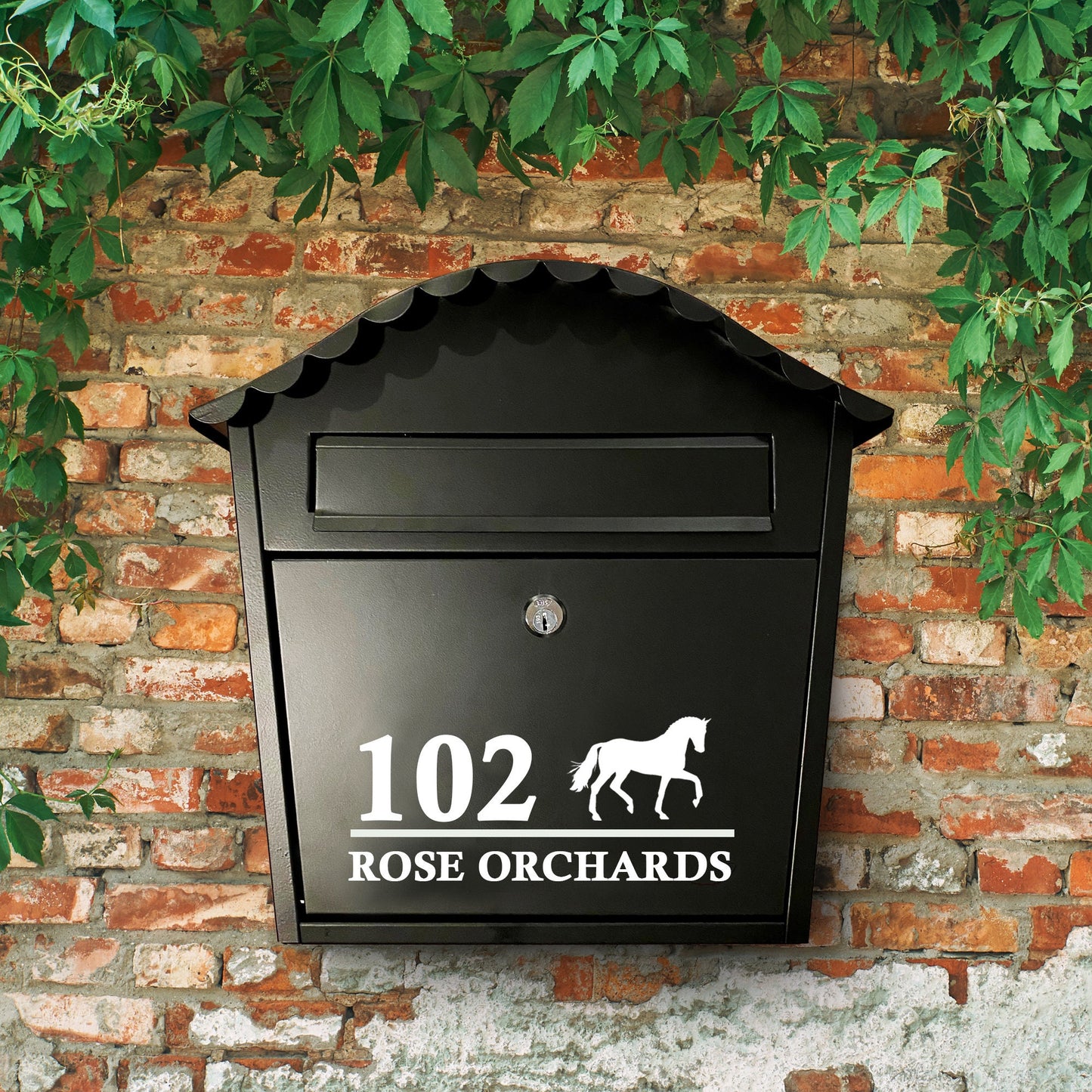 Horse Vinyl Decal | Permanent Transfer for a Mailbox/Postbox, with equine theme | Various Fonts