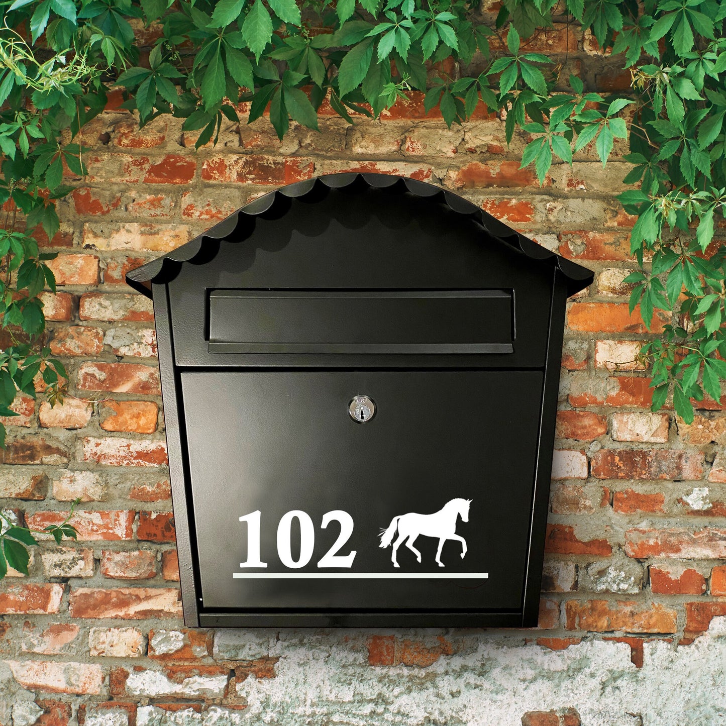 Horse Vinyl Decal | Permanent Transfer for a Mailbox/Postbox, with equine theme | Various Fonts