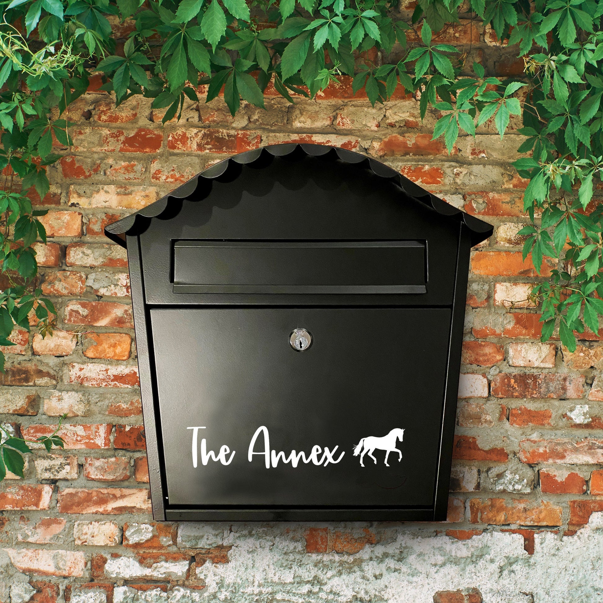 Horse Vinyl Decal | Permanent Transfer for a Mailbox/Postbox, with equine theme | Various Fonts