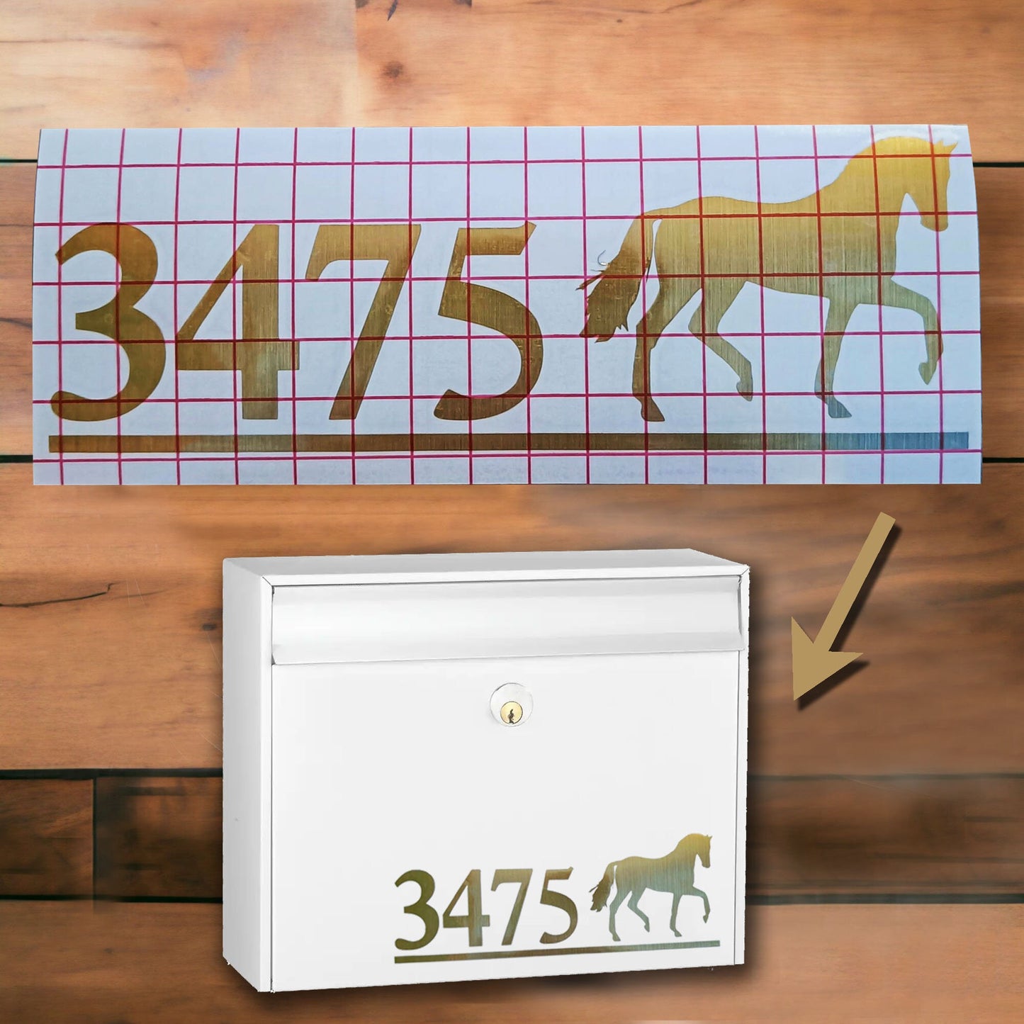 Horse Vinyl Decal | Permanent Transfer for a Mailbox/Postbox, with equine theme | Various Fonts