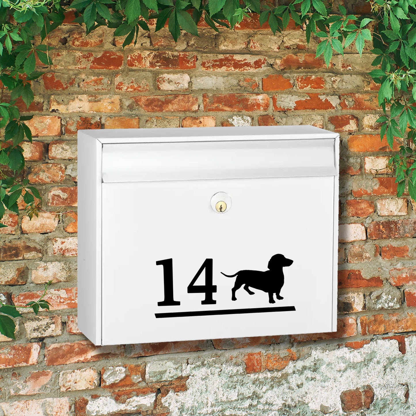 Dachshund Dog Vinyl Decal for a Mailbox | Personalised Postbox Transfer Sticker