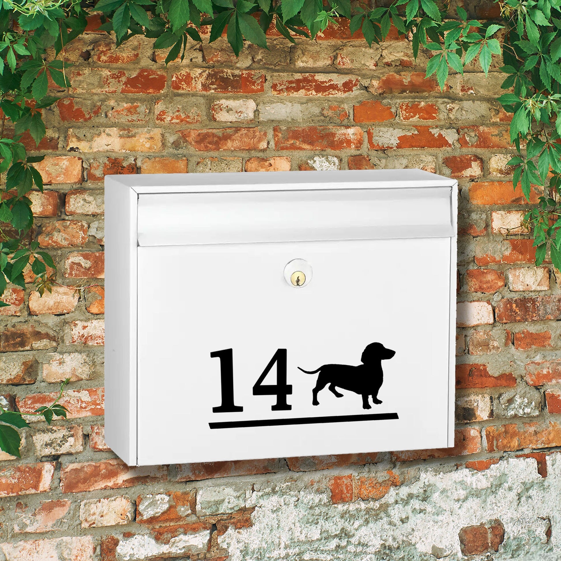 Dachshund Dog Vinyl Decal for a Mailbox | Personalised Postbox Transfer Sticker