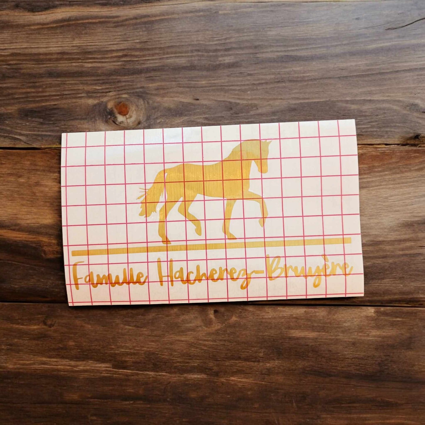 Horse Vinyl Decal | Permanent Transfer for a Mailbox/Postbox, with equine theme | Various Fonts