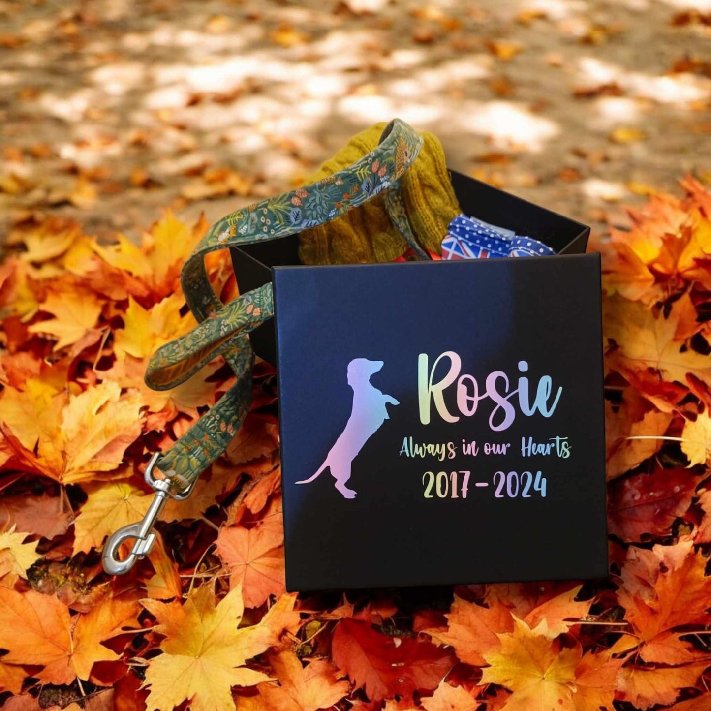 Personalized Dog Memory Box: Pet Memorial Keepsake with various breeds