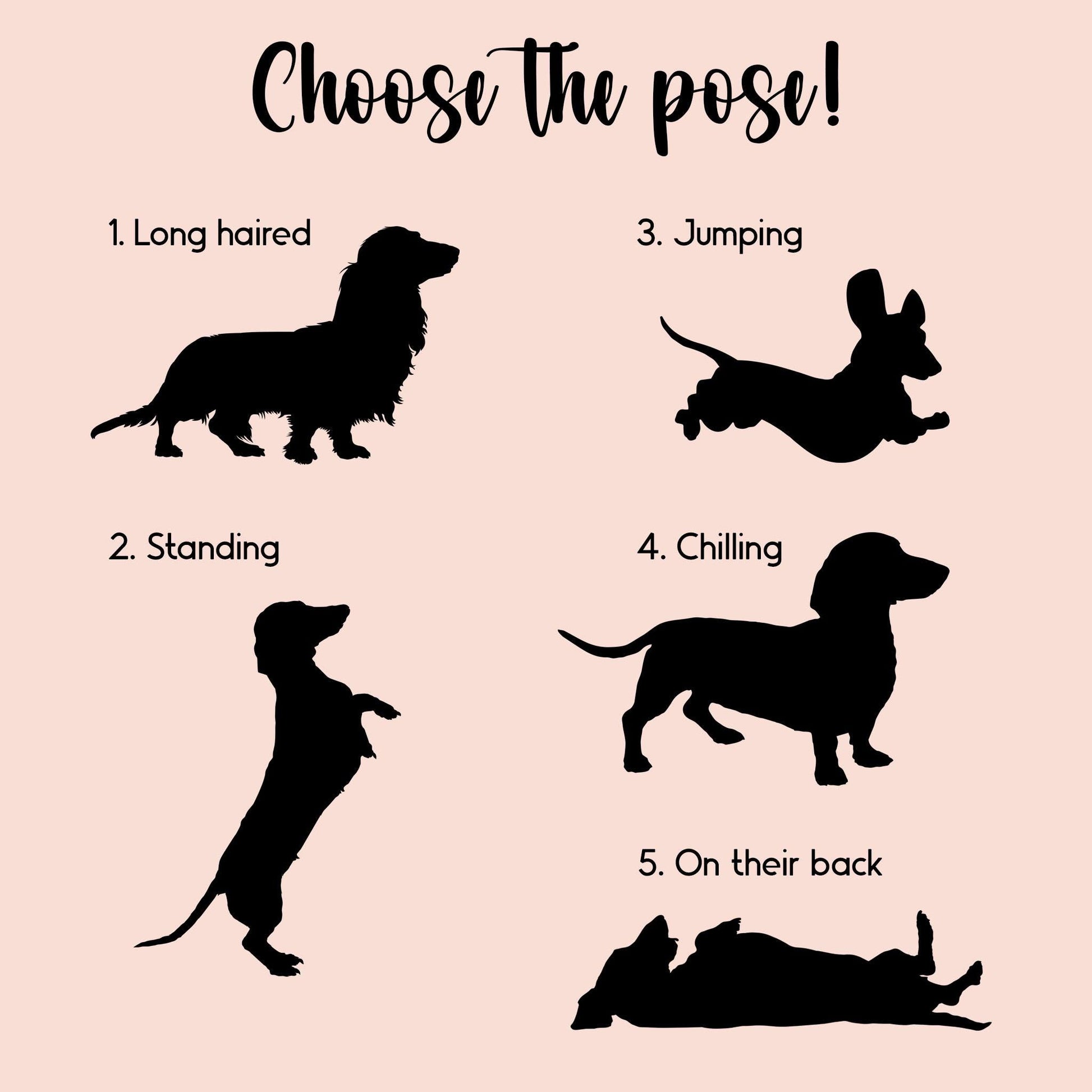 Personalised Dachshund Gift Box Empty box for Dog Presents