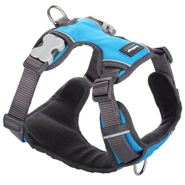 Red Dingo Padded Blue Dog Harnesses