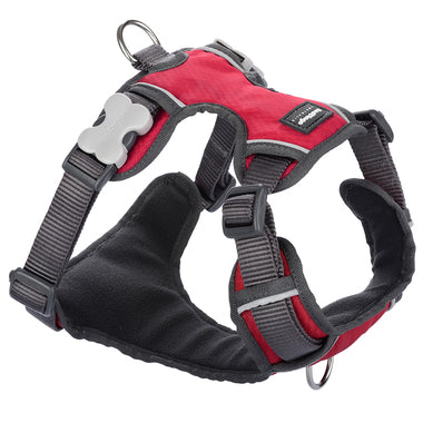 Red Dingo Padded Red Dog Harnesses