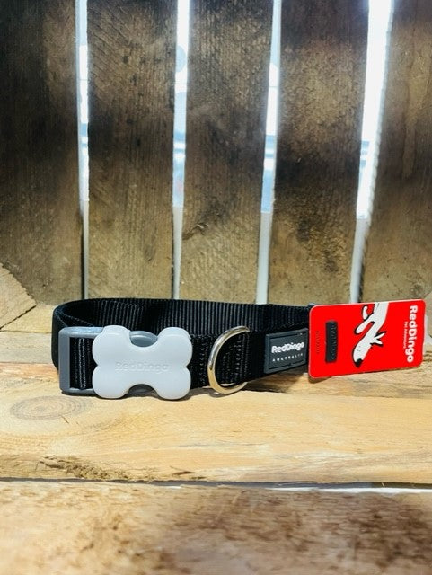 Red Dingo Black Collar