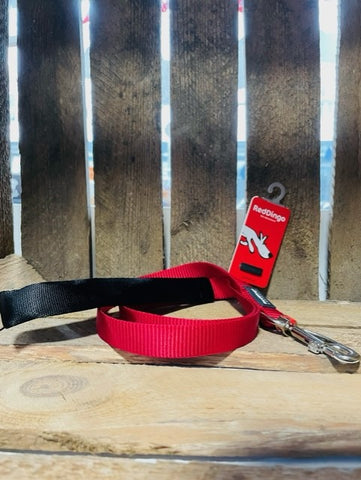 Red Dingo Red Lead